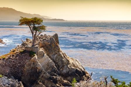 Monterey Bay lone cypress